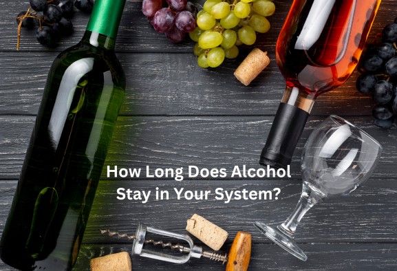 How long does alcohol stay in your system