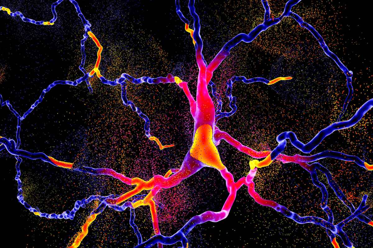 Decoding Dopamine Addiction: Understanding the Science Behind Cravings